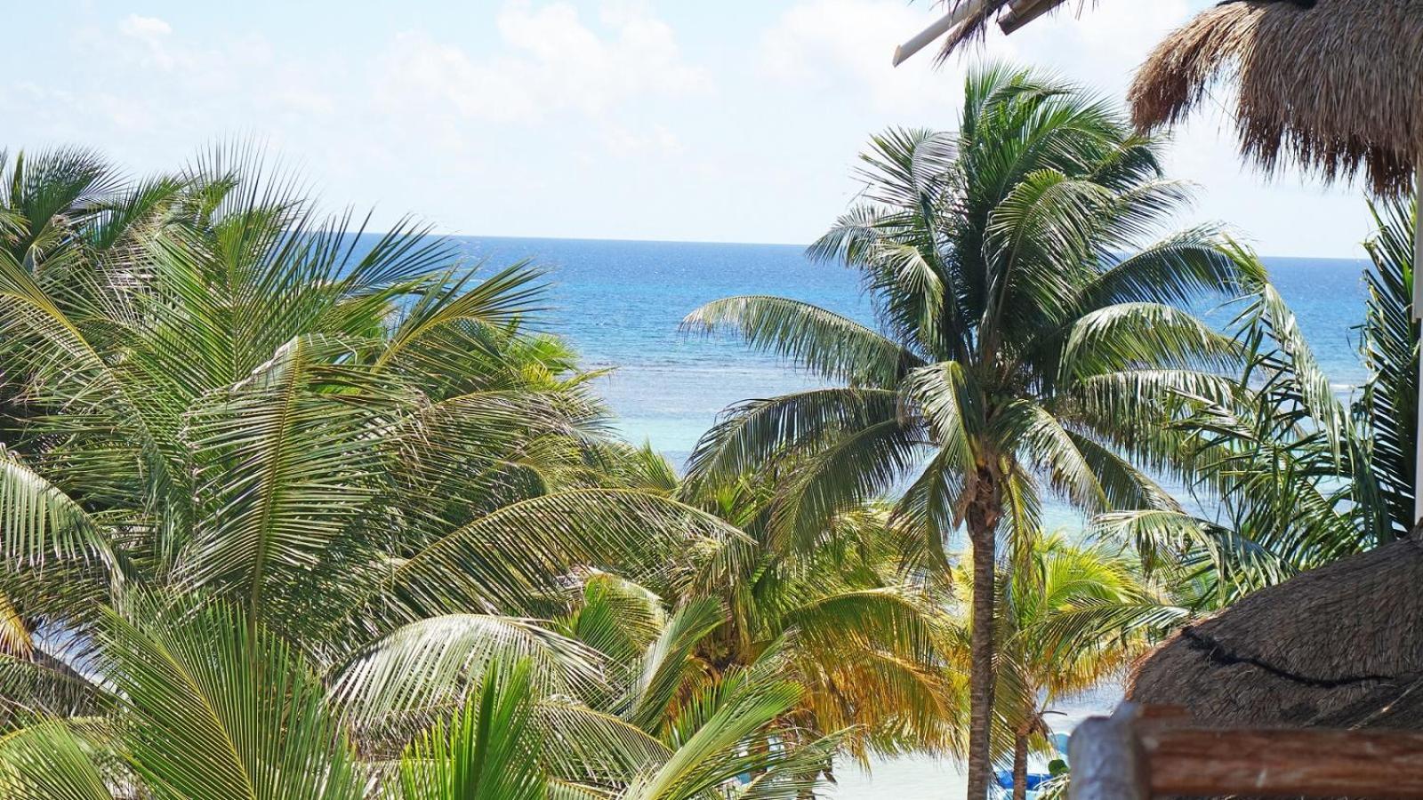 El Fuerte Beach Apartments Mahahual Room photo